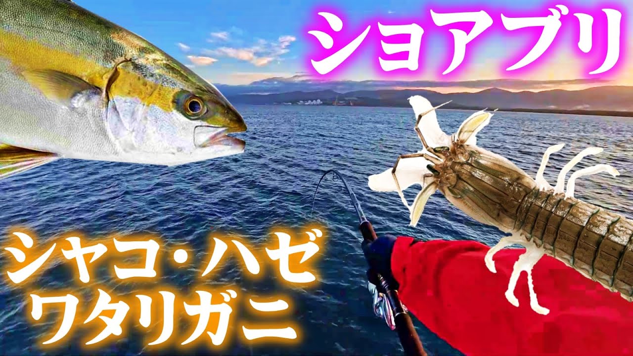 北海道の釣り人さんの専用です。 ブリ釣り北海道 (NorthAngler's COLLECTION) | つり人社北海道
