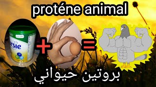 بروتين حيواني ممتاز و رخيص للحمام ( proténe animal )