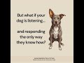 Behaviour is Communication