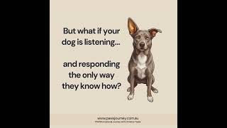 Behaviour is Communication