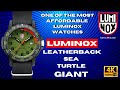 One of the Most Affordable LUMINOX Watches | Luminox Sea Turtle Giant Green Dial #0337