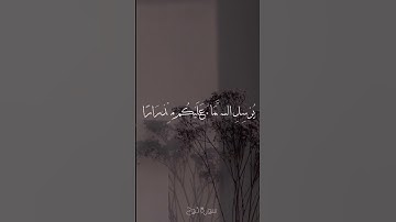 سورة نوح. الشيخ ناصر القطامي.