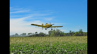 Crop Dusting Sweat Corn Interview &amp; Action