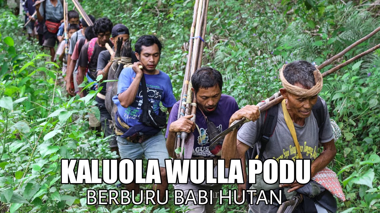 KALUOLA WULLA PODDU KAMPUNG TARUNG - Suku Anawara