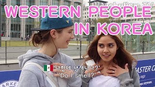 한국에 사는 백인들 Being White people in Korea