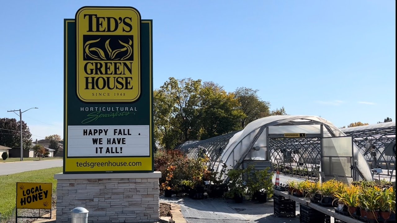 BasementFigs BUYING MORE FIGS Ted s Greenhouse Tinley Park IL 