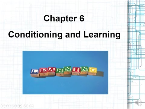 PSY101 - Conditioning And Learning