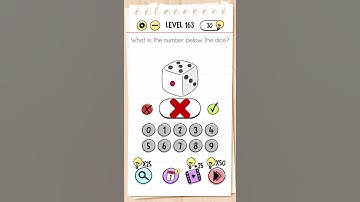 Brain test Level 163 walkthrough