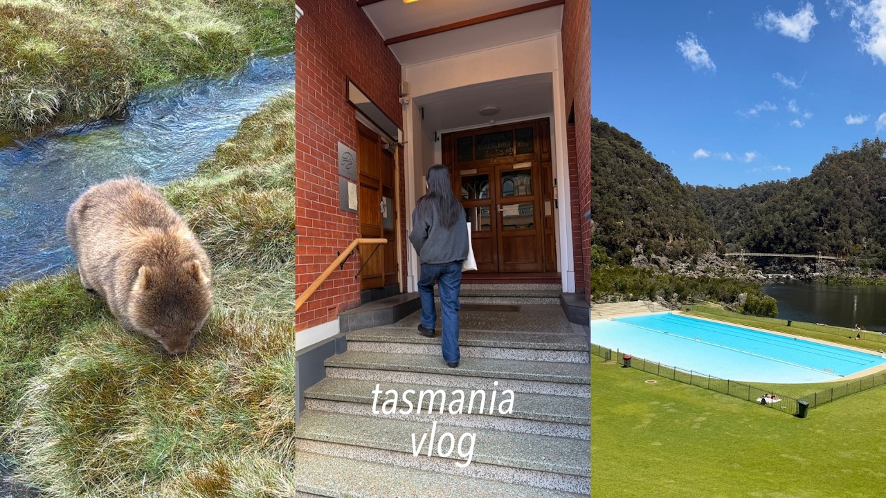 호주 태즈매니아 여행 브이로그🏞️시드니에서 론서스턴. 크레이들 마운틴, 조지 타운🏠 정말 좋았던 숙소 추천, 렌터카 여행/ rene 브이로그