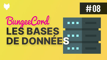 BUNGEECORD #08 .| Relier une base de données avec HikariCP