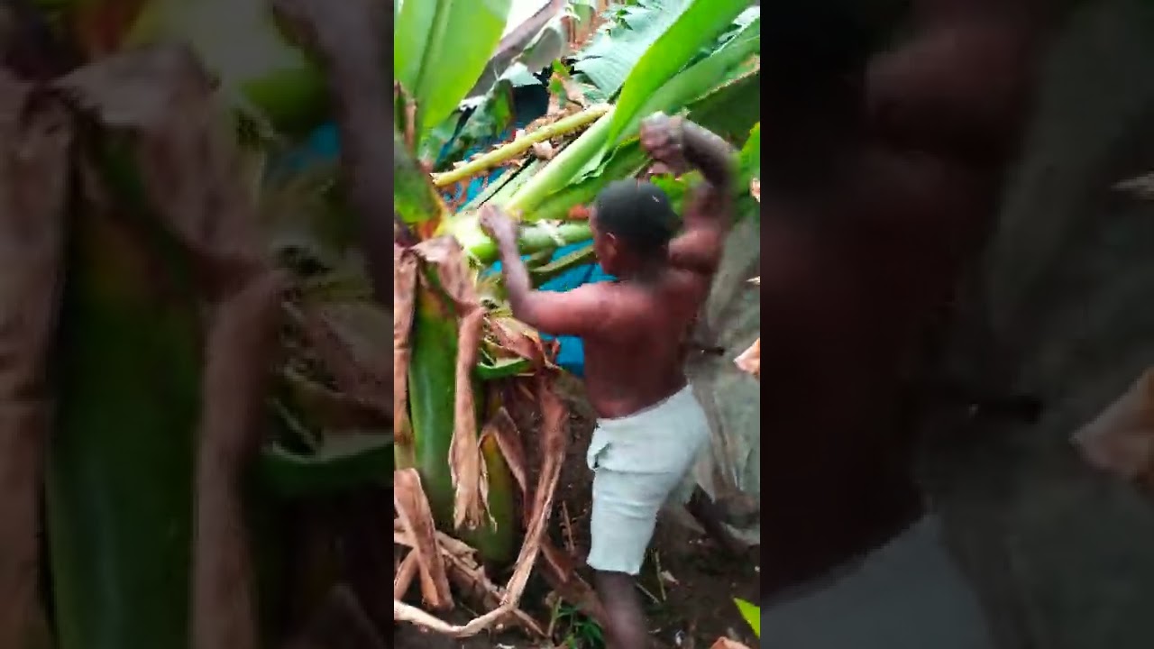 Street Fight Training MMA Fighter