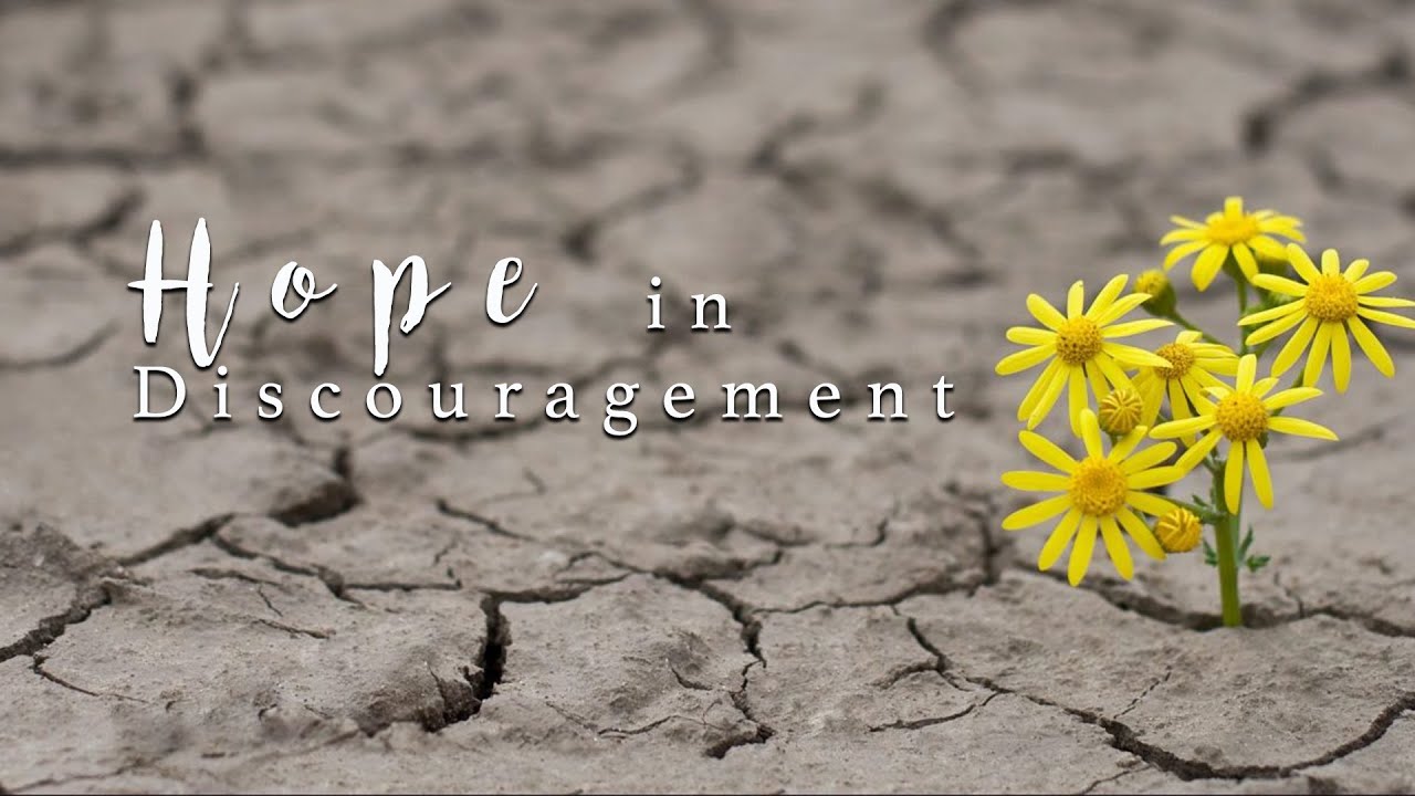 Center Point Community Church Naples Fl Live Stream Youtube