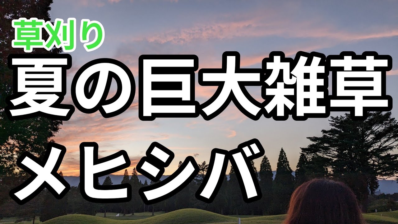 ＃189【草刈り】夏の強敵雑草メヒシバ現れる！