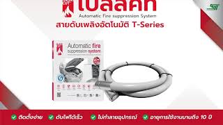 Blazecut เบลสคท สายดบเพลงอตโนมต เทคโนโลยใหมจากประเทศออสเตรเลย