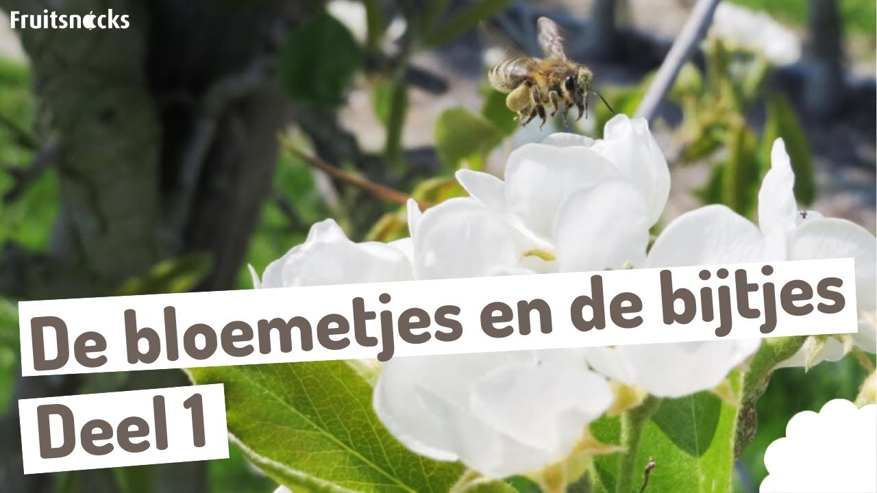 DE BLOEMETJES EN DE BIJTJES - Deel 1 - YouTube