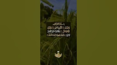 والضحى (1) والليل إذا سجى = سورة الضحى = #عبدالباسط_عبدالصمد