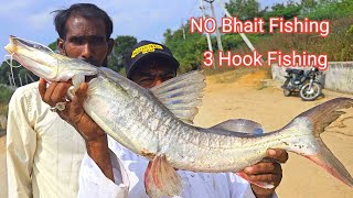 NO Bhait Fishing Techniques | Big Tengara Fish Video | River Fish catching Video