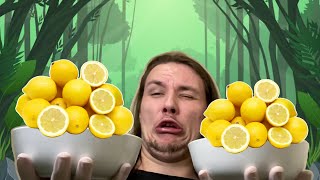 Download lagu I Hate LEMONS 🍋