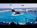 4k 鴨川シーワールド 
Kamogawa Seaworld Japan 2018 video #1