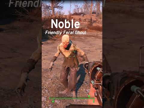 Fallout 4 but I Have A Weird Companion