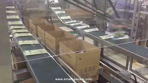 Flexible high speed robot hand sorting carton encasing machine cartoning line