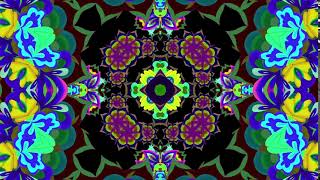 Very Colorful Flowers Kaleido 3