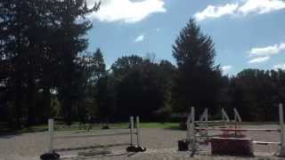 Copy of Copy of IMG 0088