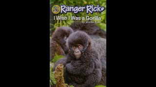 I Wish I Was A Gorilla- By Jennifer Bove- Read By Amy Palomaki