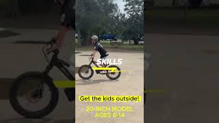Gobike 20 Electric Bike Ages 814
