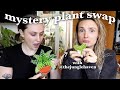 Mini mystery plant swap  with thejunglehaven