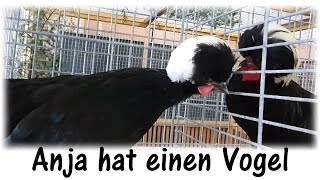 Jungtier- Austellung in Jettingen bei Nagold / Anja hat einen Vogel