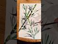 🎍Tutorial: How to Draw Bamboo with Watercolor Brushes | Easy Drawing