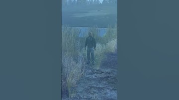 Better Know Miley Cyrus in DayZ