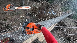 Windwurf Bedeutet Schmerzen