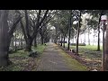Hutan Kota di Lapangan Rampal Kota Malang Sangat Indah
