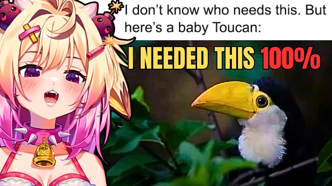 These Memes Are TOO WHOLESOME! Rosiebellmoo Reacts