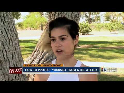 How to protect yourself from a bee attack