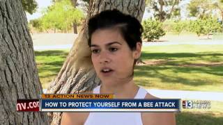 How to protect yourself from a bee attack