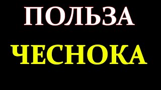 Польза чеснока для иммунитета?