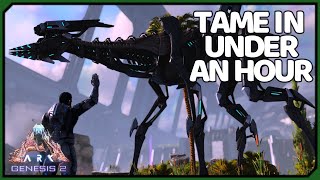 Early Stryder Tame | 3 Minute Guides