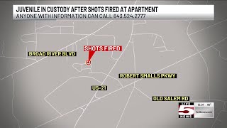 VIDEO: Juvenile in custody after Beaufort shots fired incident, police say