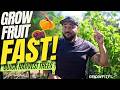 Stop Waiting 5 Years: Grow These 7 Fast Fruit Trees