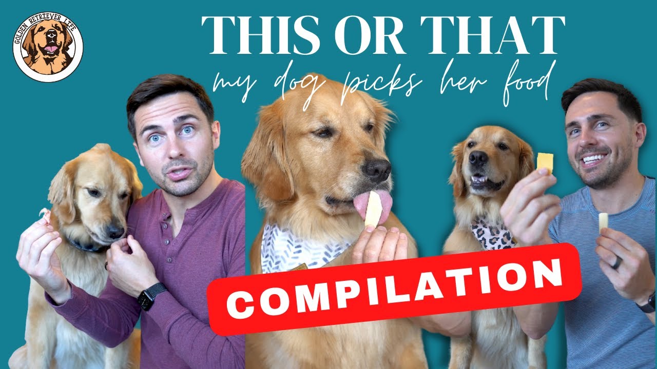 The Ultimate Dog Taste Test Compilation YouTube