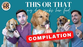 The Ultimate Dog Taste Test Compilation by Ellie Golden Life 18,384 views 1 year ago 3 minutes, 24 seconds