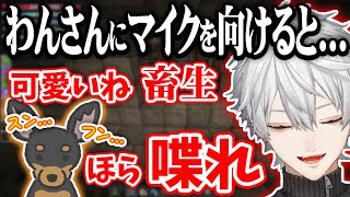 KUZUHAページ Kuzuha's birthday goods&voices illustrations : r/Nijisanji