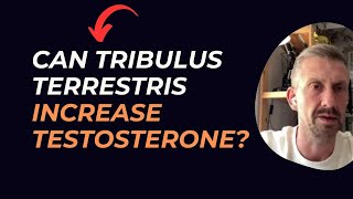Can Tribulus Terrestris increase testosterone?