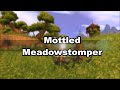 Mottled Meadowstomper / Scheckiger Wiesentrampler - Mount Drop