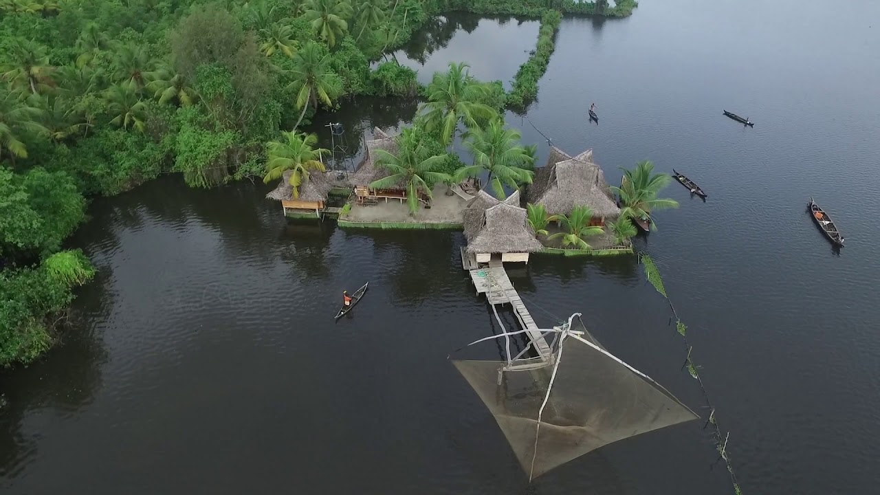 Kerala, God's own country | Kerala aerial shots | munnar |  wagamon  | Fort Kochi