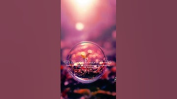 قران كريم-فتوكل على الله انك على الحق المبين🥹