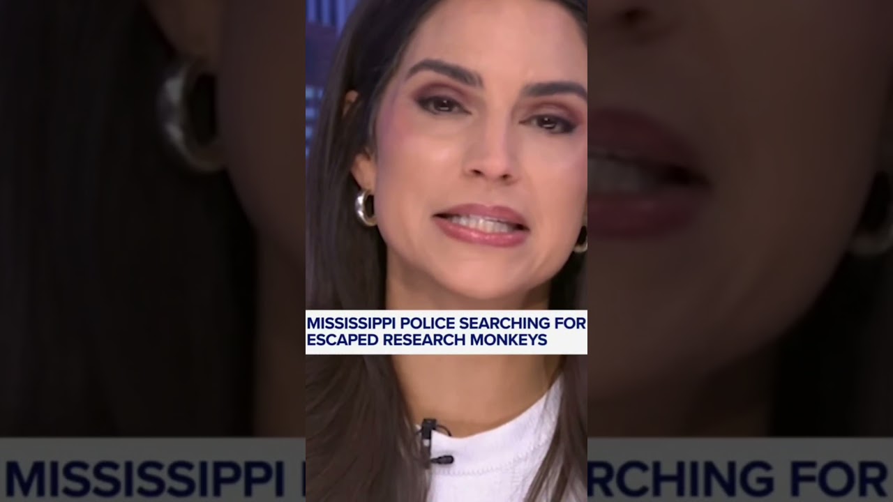 yeti and bigfoot needs help finding bigfoots distant family! 